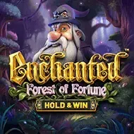 Enchanted Forest Of FortuneBsg screenshot